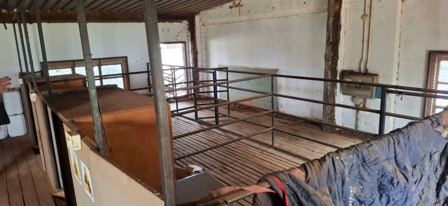  Bedroom Property for Sale in Bainsvlei Free State